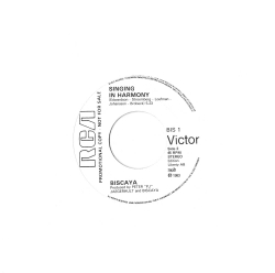 1450484382_Vinyl B.jpg