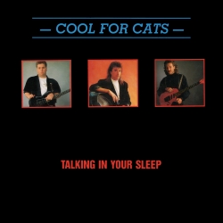 Talking In Your Sleep / Stop Playing With Fire Front